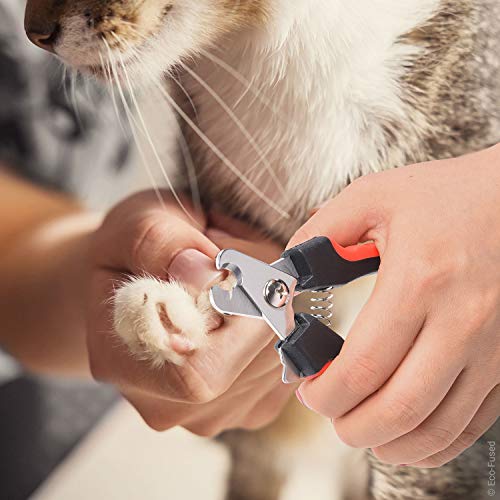 Cepillo y Cortador de Uñas para Perros, Gatos y Otras Mascotas - Artículo Esencial para el Cuidado Animal - Cortadores Ideales para Recortar Uñas Gruesas - Remueve Pelo, Marañas, nudos y Enredos