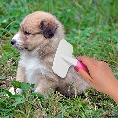 Cepillo y Cortador de Uñas para Perros, Gatos y Otras Mascotas - Artículo Esencial para el Cuidado Animal - Cortadores Ideales para Recortar Uñas Gruesas - Remueve Pelo, Marañas, nudos y Enredos