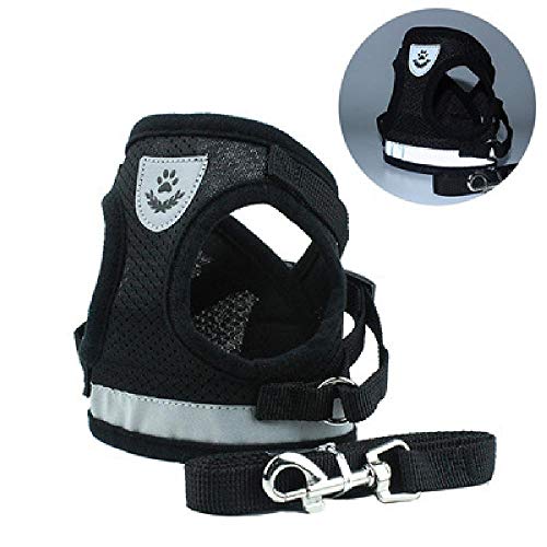Correa para Perro, Correa de Pecho para Mascotas, Oso de Peluche, Perro, Caminar, Perro, Cuerda, Chaleco Tipo Cadena de Perro, Productos para Animales de compañía