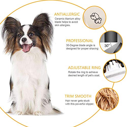 Cortapelos para Perros Profesional Cortapelos Perros Mascotas Gatos Set Máquina Cortar Pelo Esquiladora Eléctrico Inalámbrico Recargable Silencioso con 4 Peines Guía para Mascotas Gatos Perros
