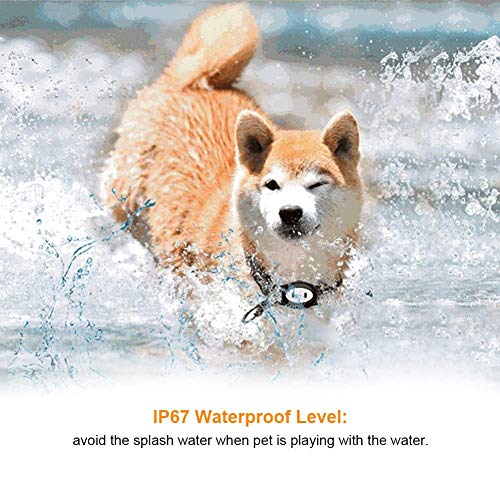 CSDY-Más Inteligente Perro Rastreador GPS En Tiempo Real GPS del Animal Doméstico Collar Ajustable Rastreador Locatoranti-Perdida De Dispositivos De Seguimiento GPS para Perros Y Gatos