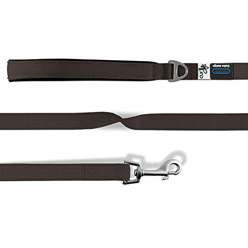 Curli® Correa básica de Nailon para Perro