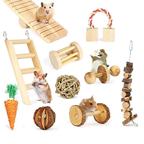 Dyyicun12 Juguete para Masticar Loro para pájaro, 10 Piezas de Madera de Zanahoria, Escalera, cobaya, Conejo, Chinchilla, mordedor, Juguetes, Regalo