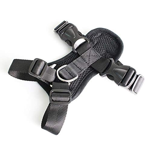 fdrghtjhy Collar para Mascotas Kit De Arnés Y Correa para Collar De Gato Correa De Nylon para Mascotas Ajustable Cómodo Suave Y Transpirable Arnés para Gato Cordón De Chaleco para Mascotas, B1