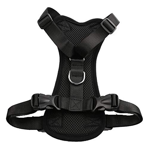 fdrghtjhy Collar para Mascotas Kit De Arnés Y Correa para Collar De Gato Correa De Nylon para Mascotas Ajustable Cómodo Suave Y Transpirable Arnés para Gato Cordón De Chaleco para Mascotas, B1