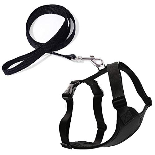 fdrghtjhy Collar para Mascotas Kit De Arnés Y Correa para Collar De Gato Correa De Nylon para Mascotas Ajustable Cómodo Suave Y Transpirable Arnés para Gato Cordón De Chaleco para Mascotas, B1