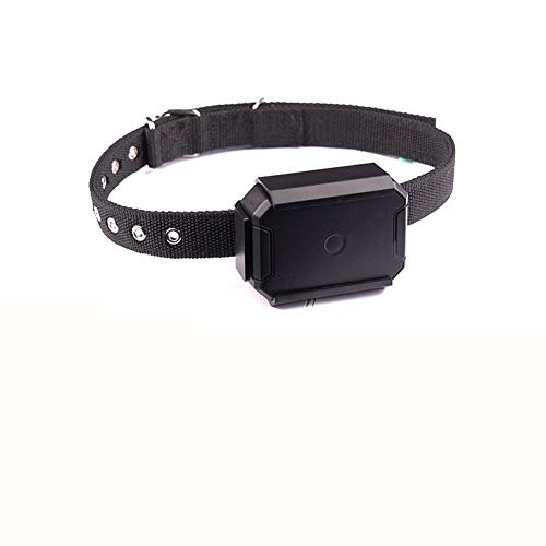 GBY Mascotas GPS Tracker Perro Localización Collar Mascotas GPS Tracker Gato Perro Perro Impermeable y Polvo GPS Tracker Localizador