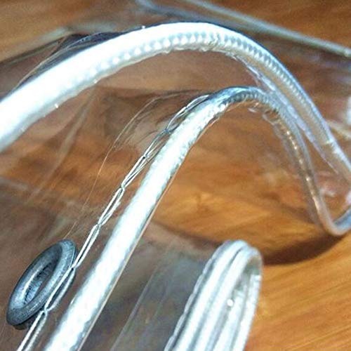 GGYMEI Lona De Protección，A Prueba De Lluvia Suave Transparente Y Resistente Al Desgaste De Materiales De PVC, Espesado Almacén Caseta De Jardín, 23 Tamaños (Color : Claro, Size : 1.4x5 m)