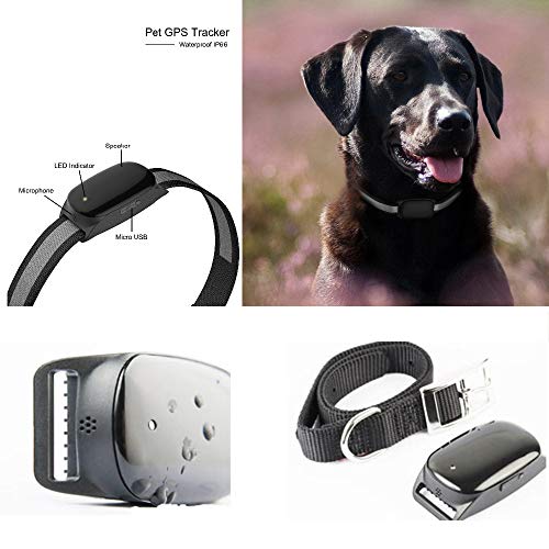 HAJZF Localizador GPS para Mascotas A Prueba De Agua, Función De Alarma De Inducción Magnética/Detección De Vibración/Detección De Sonido En La Puerta, Rastreador Anti-Pérdida para Perros Y Gatos