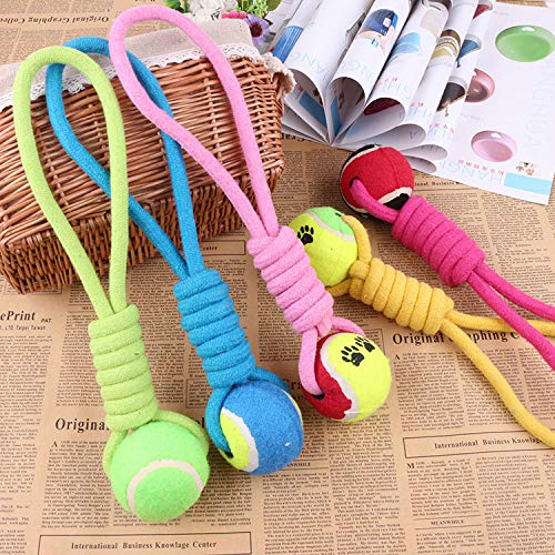 HCBDQQ Pelota para Masticar Perros Juguete Molar para Perros Pelota para Lanzar Perros Juguete para Perros Juguete para Gatos Tolerante A Los Molares