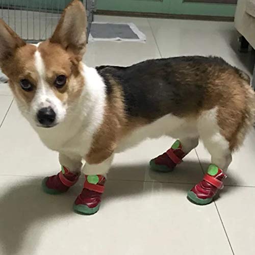 HCBDQQ Zapatos para Perros, Garras para Perros, OtoñO E Invierno, Zapatos CáLidos Y Antideslizantes para Mascotas, Adecuados para Perros Grandes S
