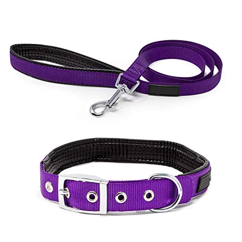 HUI JIN Juego de Correa y Collar para Perro, Nailon Resistente y Duradero, Acolchado para Cachorros de Mascota, Color Morado