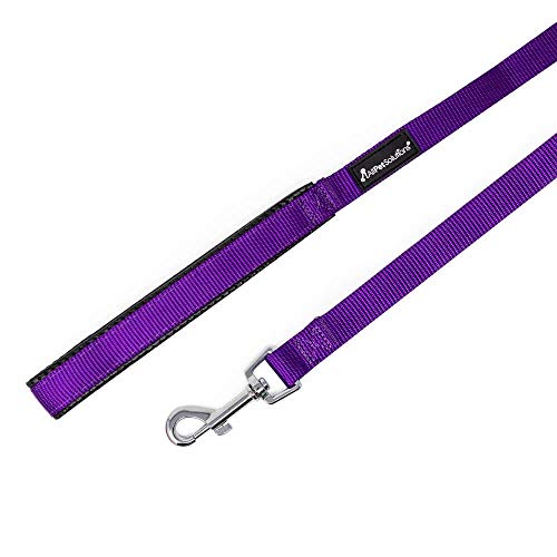 HUI JIN Juego de Correa y Collar para Perro, Nailon Resistente y Duradero, Acolchado para Cachorros de Mascota, Color Morado