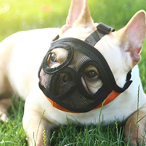 LOVE&HOME Hocico Corto Perro Bozal Ajustable Ajustable Malla Bulldog Bozal para Morder Masticar Ladrar Entrenamiento Perro Máscara (Color : Orange-b, Size : XXS)