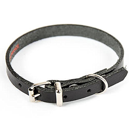 Martin Sellier Collar de Piel Negro para Perro Ajustable Hebilla niquelada Alta Calidad