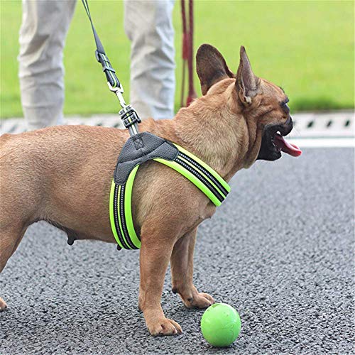 MYYXGS Arnés de Correas para Perros: Adecuado para Perros pequeños y medianos. No aprieta el Cuello con Rayas Reflectantes. Fácil de Usar. Perforación a Prueba de explosiones. Duradero M