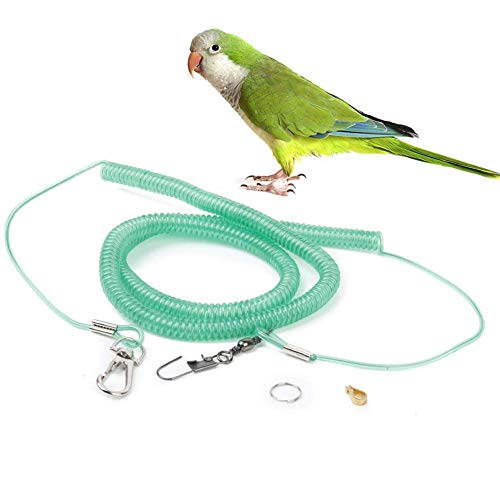 NaiCasy 6 m Color al Azar Correa Pájaro del Loro Establece el Anti-mordedura Flying Cuerda Capacitación para Loros, Aves y jardín