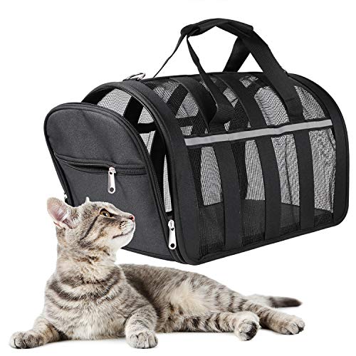 PATIO PLUS Portadores de viaje grandes para mascotas para perros y gatos - Caja para mascotas aprobada por la aerolínea de lados blandos, ligera y plegable - Ventanas de malla negra