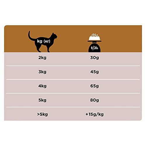 PURINA Dieta Comida para gatos del pollo renal Wet Wet Wet Comida para gatos Cat Dietas