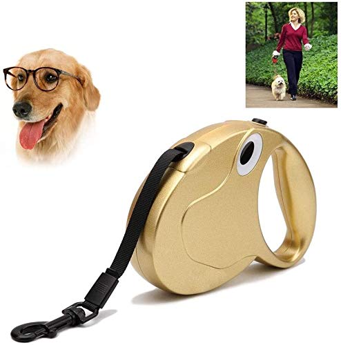 Qianqiusui Correa de Perro retráctil, Correas Extensibles automáticas, Grande y pequeño Perro retráctil Plomo Perro del Correo (Color : Gold, Size : 3m)