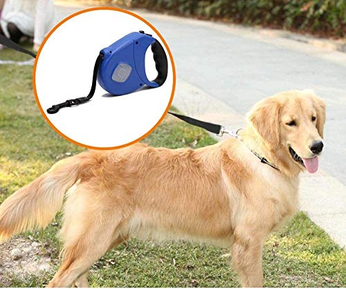 Qianqiusui Pet Perro Correa de Perro retráctil, Correa Correa de Perro Auto-retráctil, Perro de tamaño Mediano Alambre retráctil (Color : Blue, Size : 5m)