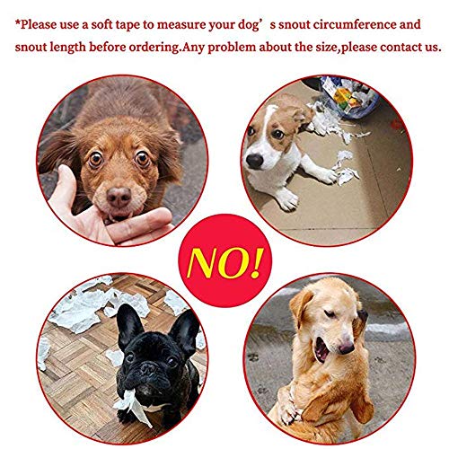 STKJ Bozales para Perros de hocico Corto, bozal Ajustable de Malla Transpirable Bulldog para Evitar morder, lamer y Masticar, ladridos contra Las mordeduras,XL