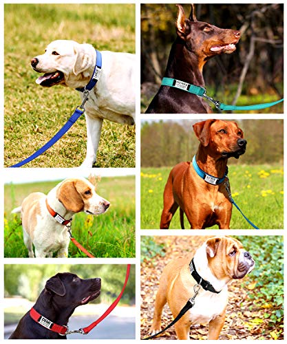 TagME Collar de Perro Personalizado, Collares de Nylon Acolchados y Reflectantes, Etiqueta de Acero Inoxidable con Nombre Grabado y Número de Teléfono