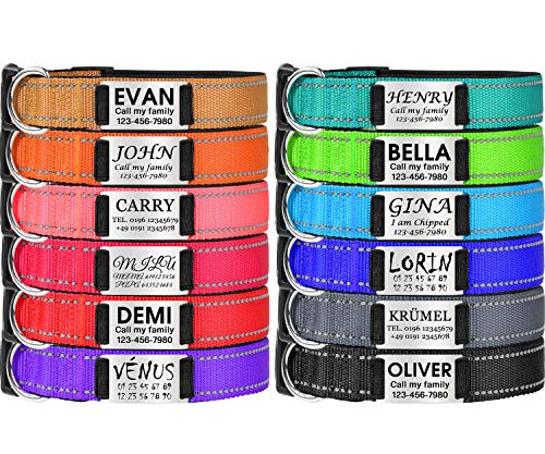 TagME Collar de Perro Personalizado, Collares de Nylon Acolchados y Reflectantes, Etiqueta de Acero Inoxidable con Nombre Grabado y Número de Teléfono