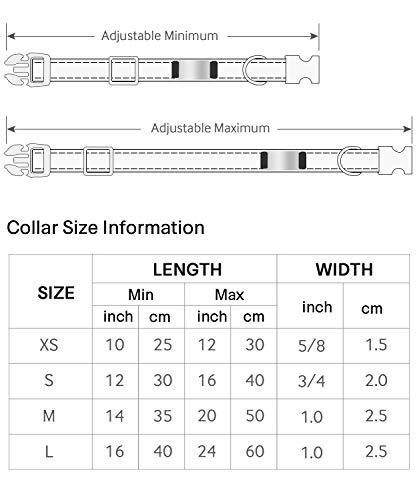 TagME Collar de Perro Personalizado, Collares de Nylon Acolchados y Reflectantes, Etiqueta de Acero Inoxidable con Nombre Grabado y Número de Teléfono
