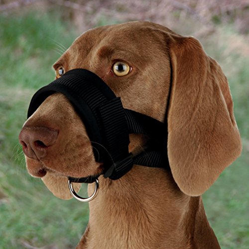 Trixie - Bozal Lazo Nylon de Entrenamiento para perro (XXL) (Negro)