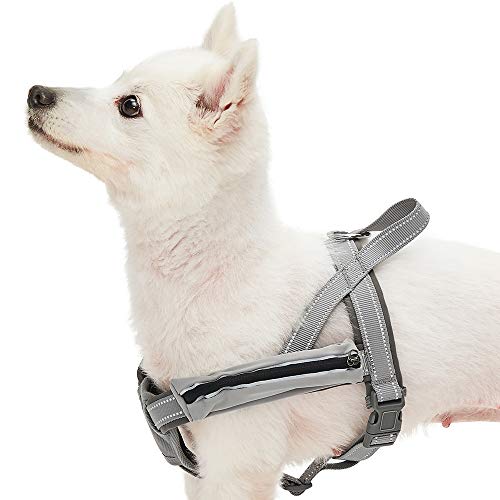UMI. Essential - Arnés Ajustable Tipo Chaleco para Perros con Acolchado de Neopreno y Bandas Reflectantes, Talla M, Gris