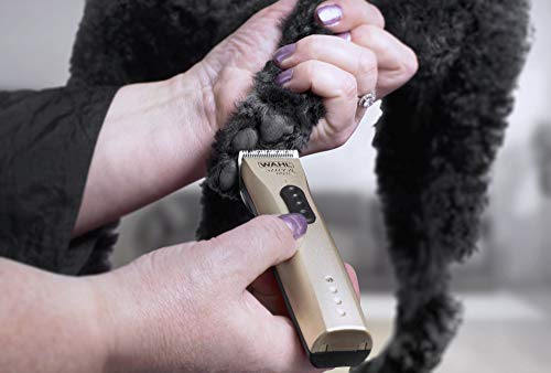 WAHL Cortapelos para Perros, Kit de Cuidado de Perros de Primera Calidad, Recortar y ordenar áreas más pequeñas, cortapelos sin Cables de bajo Ruido