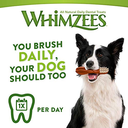 WHIMZEES Estrella, cepillos de Dientes, tamaño Mediano, 75 Piezas