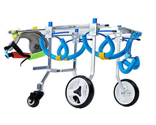 WTUGAIOHG Silla De Ruedas para Perros, Silla De Ruedas Ajustable para Mascotas De 4 Ruedas, Adecuado para La RehabilitaciÓN De Patas Traseras De Perros Discapacitados, Gatos, Perros Grandes (XS)