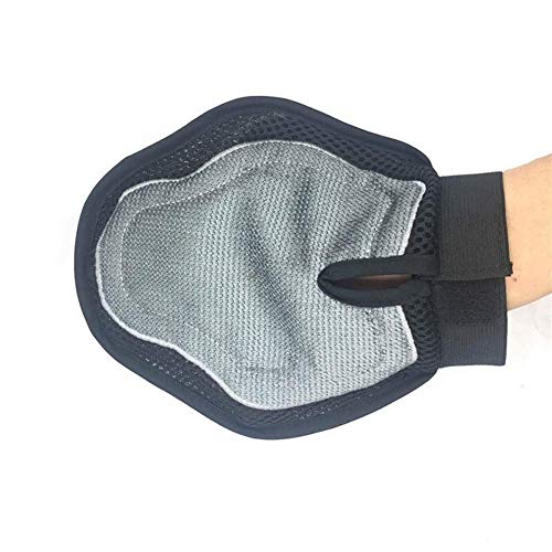 ZY Silicona Mascota Cepillo Suave Guante de eliminación de Polvo preparación del Gato del Guante y Productos de Limpieza baño de Perro (Color: Azul, tamaño: W) LOLDF1 (Color : Blue, Size : W)