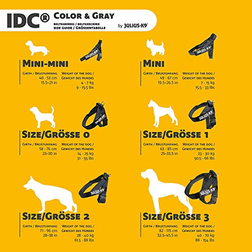 Arnés para cinturón de seguridad JULIUS-K9 y Correa para Perro, con Mango y Junta Tórica - color rosa - talla: 2