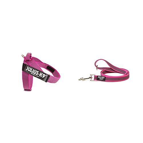 Arnés para cinturón de seguridad JULIUS-K9 y Correa para Perro, con Mango y Junta Tórica - color rosa - talla: 2
