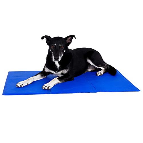 dibea Esterilla De Enfriamiento para Mascotas, Alfombra Refrescante para Mascotas, Estera De Enfriamiento para Perros En Talla L/100X60 Cm 1 Unidad 3000 g