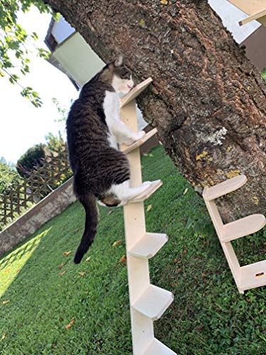 Elmato Escalera para Gatos
