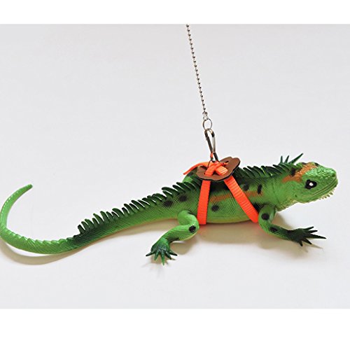 F Fityle Durable Bird Cockatiels Nappy Parrot Bird Harness Leash Ideal para Bird Parrot Outdoors