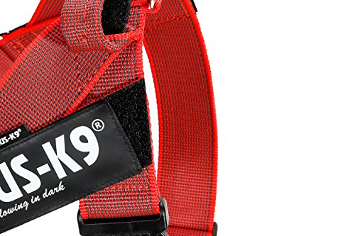 Julius-K9 Arnés de Correa Color & Gray, Talla: 2, Rojo-Gris