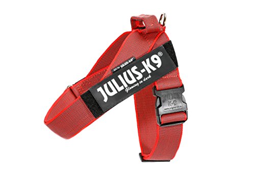 Julius-K9 Arnés de Correa Color & Gray, Talla: 2, Rojo-Gris