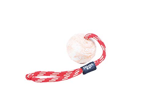 Julius-K9 IDC de Pelota con Ass