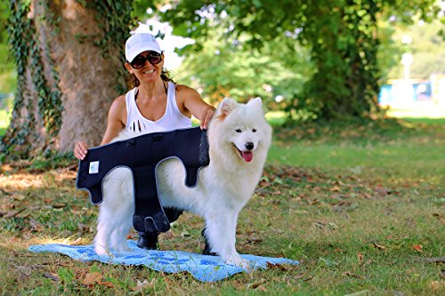 Nature Pet Hygiene - Pantalones Sanitarios para Perros/Perros, Pantalones de incontinencia para Perros/pañales para Perros