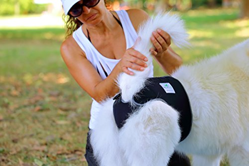 Nature Pet läufig keits Pantalones para hündinnen/incontinencia Pantalones para rüden/Perros Pantalón Protector, Neopreno Perforado (S de l)