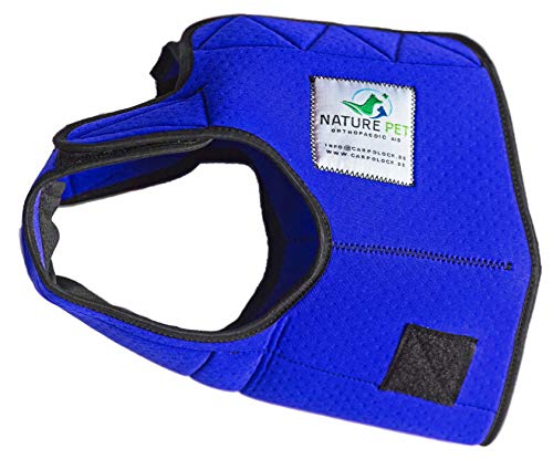 Nature Pet Perros Higiene Pantalones Sanitarios Menstruales Bragas/Pañales para Perros Macho Mascotas Machos Lavable (S-L, Azul)