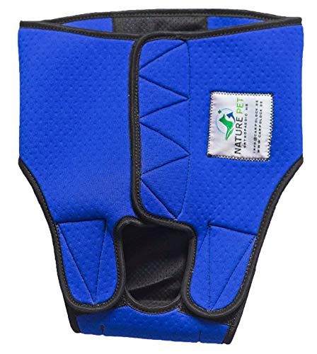 Nature Pet Perros Higiene Pantalones Sanitarios Menstruales Bragas/Pañales para Perros Macho Mascotas Machos Lavable (S-L, Azul)