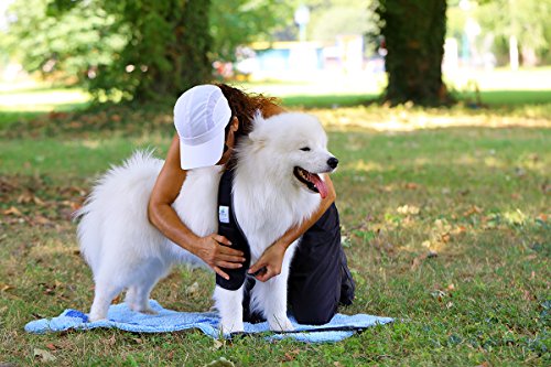 Nature Pet Vendaje de Codo para Perros/Vendaje para Callos/Vendaje de Codo/Vendaje de Perro en Caso de higroma (S, Rojo)