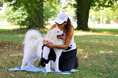 Nature Pet Vendaje de Codo para Perros/Vendaje para Callos/Vendaje de Codo/Vendaje de Perro en Caso de higroma (S, Rojo)
