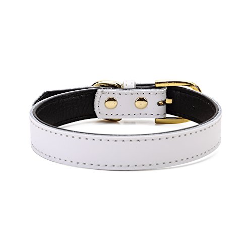 Petween Collares básicos clásicos Acolchados de Cuero para Mascotas, Gatos, Cachorros, Perros medianos y pequeños
